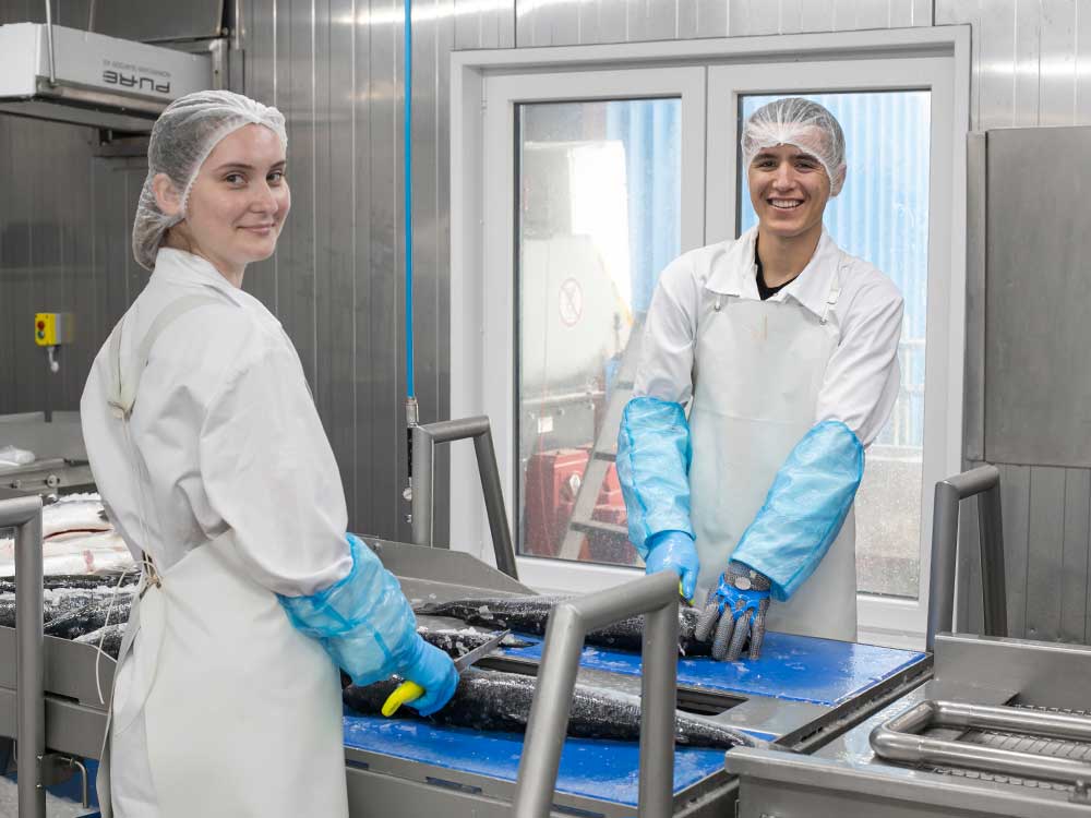 Startseite 13 Einblick in die Produktion und den Betrieb