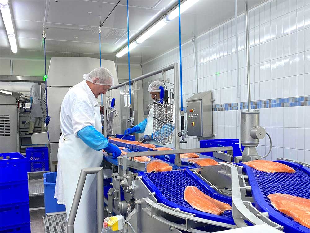 Energieeffiziente Beleuchtung in der Produktion